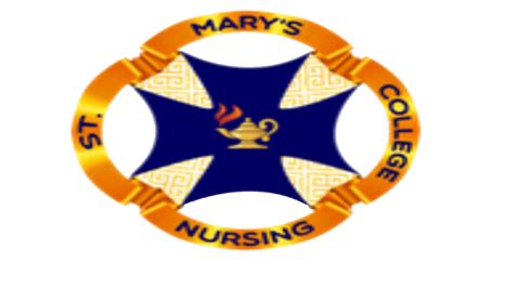 BSN LOGO – St. Mary's College of Tagum, Inc..